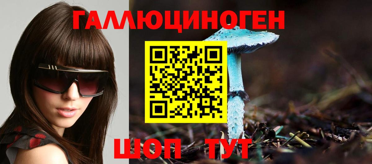 Галлюциногенные грибы Psilocybine cubensis Удомля