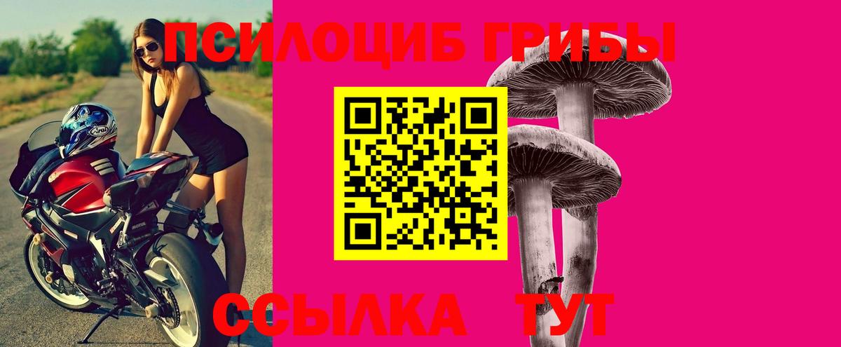 Псилоцибиновые грибы Cubensis  Вход с VPN  Галлюциногенные грибы GOLDEN TEACHER  Удомля 